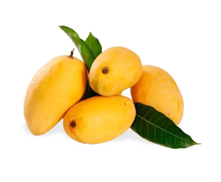 chaunsa